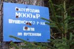 Чьи в лесу шишки.